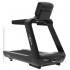 Беговая дорожка PRO CT320
