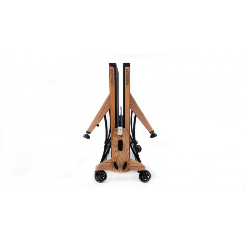 Теннисный стол Rasson Premium T03