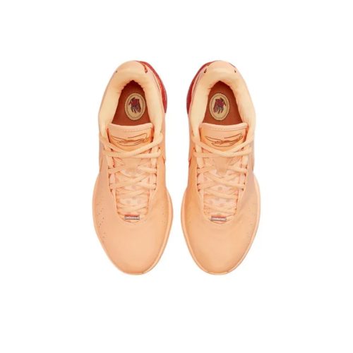 Баскетбольная обувь Nike Lebron 21 Melon Tint