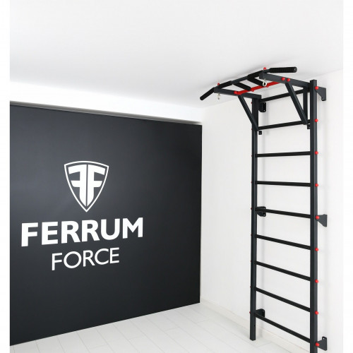 Универсальный съёмный турник Ferrum Force