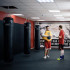 Мешок боксерский Fighttech  180х40 кожа HBL5 