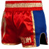 Шорты для тайского бокса Venum Giant Red/Gold