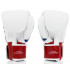 Боксерские перчатки Fairtex BGV1 Thai Flag