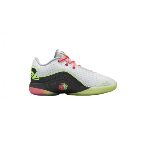 Баскетбольная обувь Nike Lebron XXII WH GS