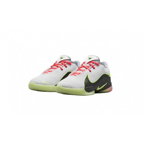 Баскетбольная обувь Nike Lebron XXII WH GS