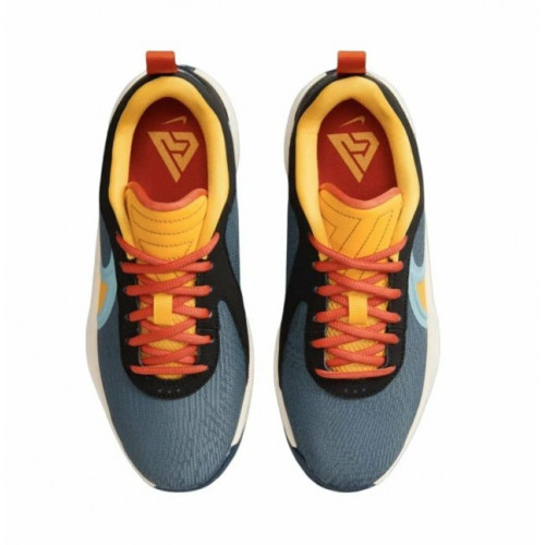 Баскетбольная обувь Nike Zoom Freak 6