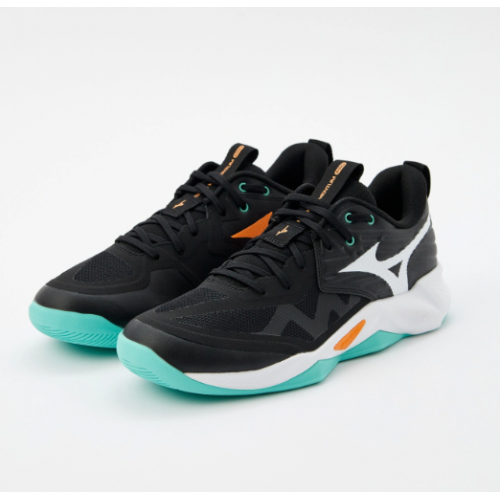 Волейбольная обувь Mizuno Wave Momentum Pro 