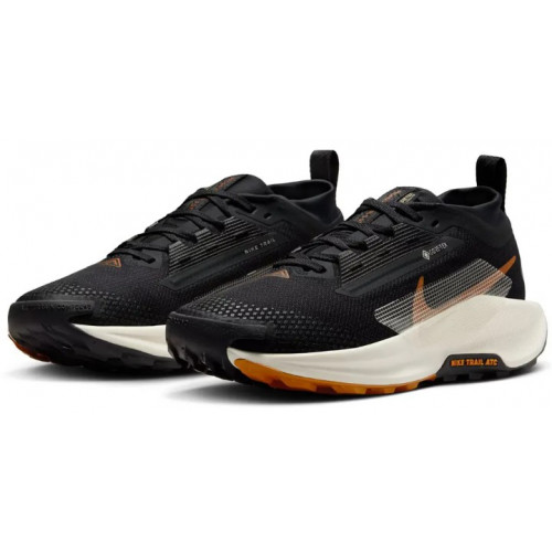 Беговая обувь Nike Pegasus Trail 5 Gore-Tex