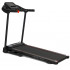 Беговая дорожка Carbon Fitness T306