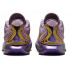 Баскетбольная обувь Lebron XXI Purple Rain