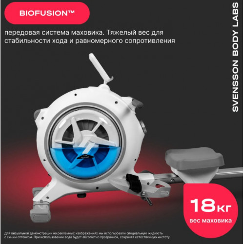 Гребной тренажер Svensson Body Labs Wheelo