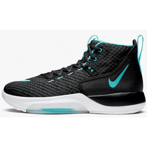 Баскетбольная обувь Nike Zoom Rize